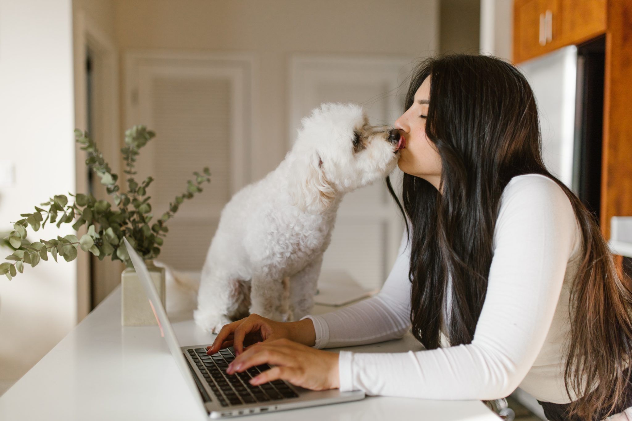 Avoid Distractions when Studying Online