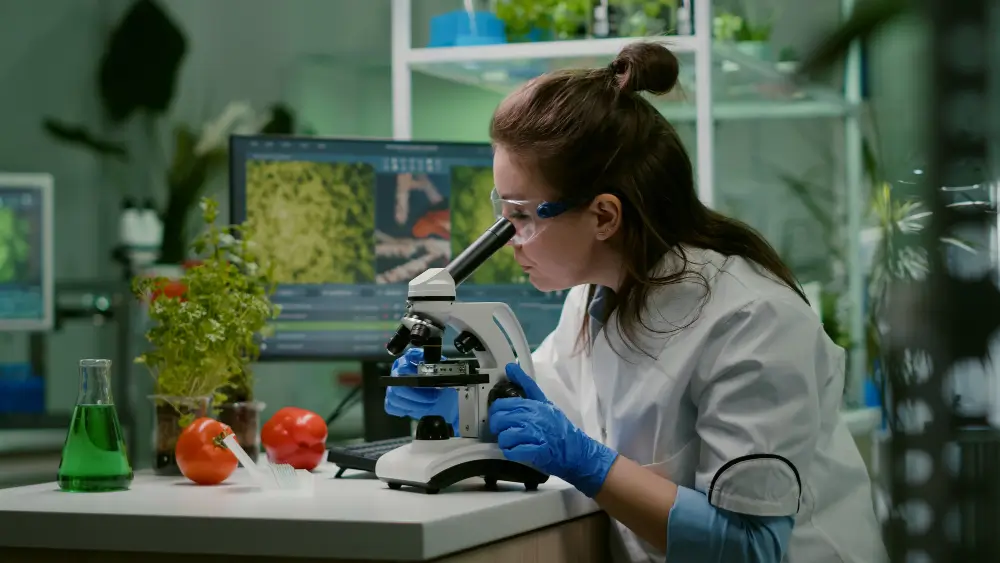 Masters in Bioethics Online