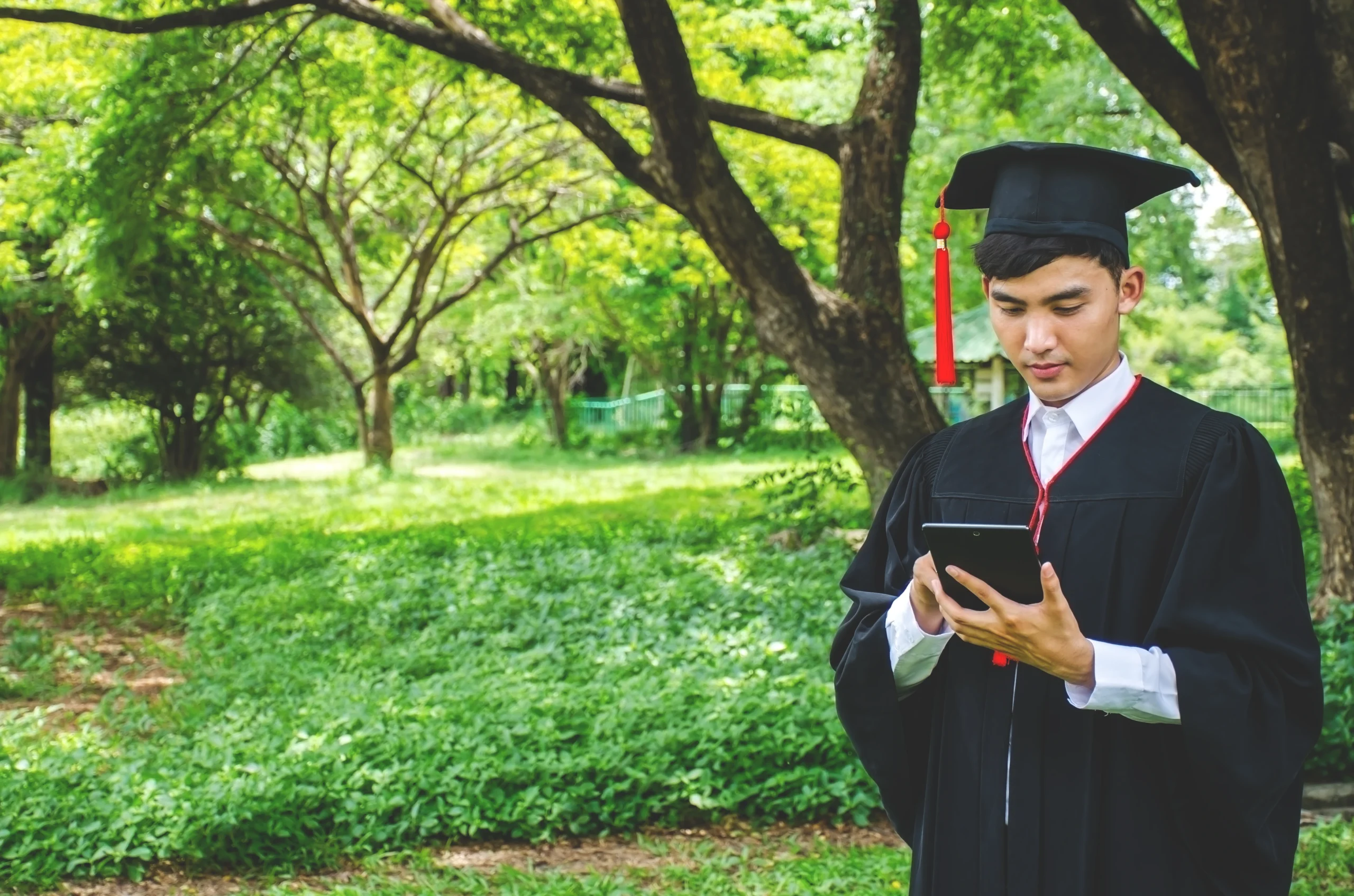 What is a Terminal Degree?