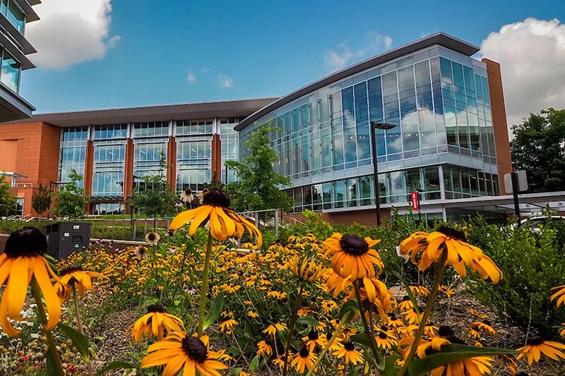 North Carolina State University Online Master's Programs
